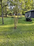 “Lake Life” - Boat ramp here