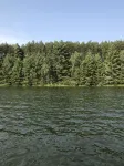 1-bedroom cabin near Huron-Manistee National Forest