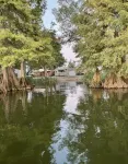 The Hut.  Cozy 2-bedroom mobile home on peaceful Reelfoot Lake with boat shed - 2-Star