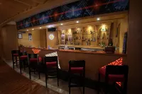 Radisson Udaipur - bar