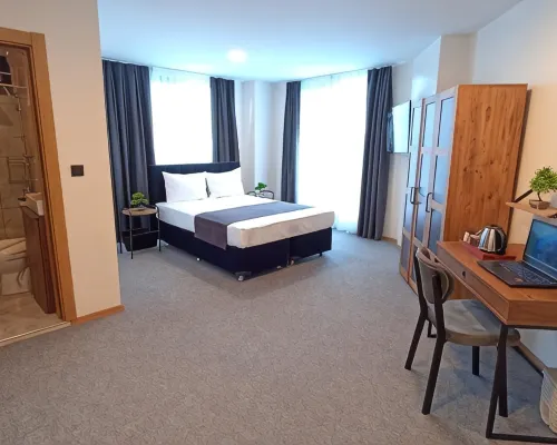 New Green Airport Hotel Photos