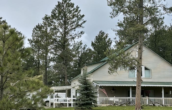 Grandma's House in the Woods, One Mile to Custer