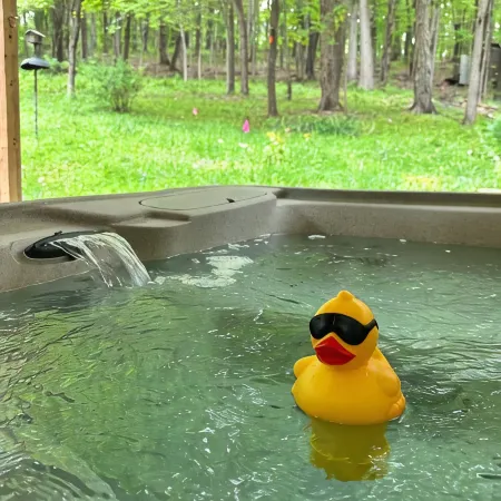 Hemlock Retreats - Cabin, 6 Acres, Hot Tub & Winery