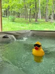 Hemlock Retreats - Cabin, 6 Acres, Hot Tub & Winery - シャレー