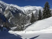 Luxury chalet (about 250 sqm) - built in 2016 - Grächen (Valais) / near Zermatt