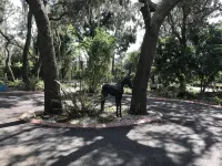 Private  Gated  Spacious   3300  sq foot  4BR 3Bath indoor pool