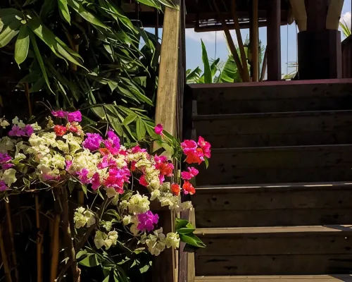 Prashanti Bali الأماكن العامة Photos