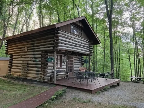 "The Hawk Nest" cabin on Tims Ford Lake - Wifi