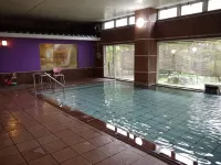 Sakaeya Hotel - balneario