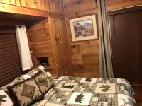 # 10 High Country Haven Camping and Cabins