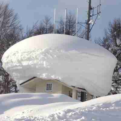 Nozawa Dream Central Hotel Exterior