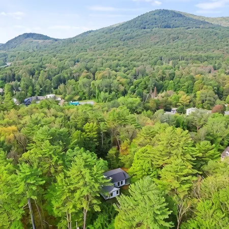 Pet friendly, private, clean, perfect Lake George location