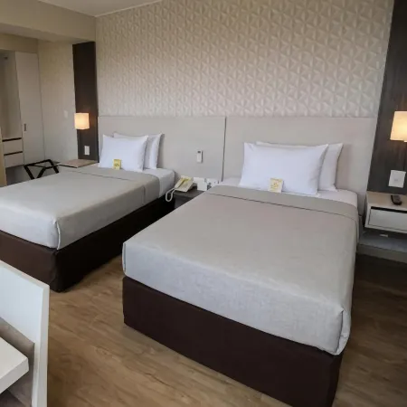 Palmetto Hotel Business San Miguel