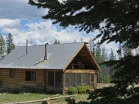 Bluebird cabin in Stanley, Idaho - Alphydda
