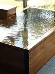 Gonohe Makiba Onsen - Suối nước nóng