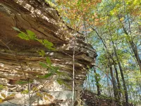 Cozy Mountain Cabin - Daniel Boone Forest Near Red River Gorge & Hollerwood!