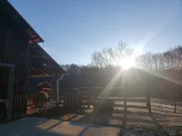 Boo Boo's Cabin - Charming Lake Front Cabin located 5 miles to Helen, GA! - Træningscentre