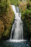 Portland Charming, fully furnished, private, quiet and pets friendly Home.