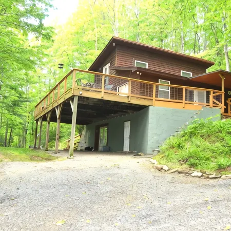 Locust Flats -  Pet-Friendly Mountain  Cabin =  Decks-Views-Firepit