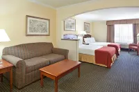 Holiday Inn Express & Suites TUCSON MALL by IHG - Pools