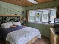 Private River Frontage Cabin! 🌲🚣‍♂️ Paddle, Float, and Relax to Burt Lake! - Wi-Fi