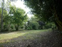 Town house on the banks of the vienne - Wi-Fi