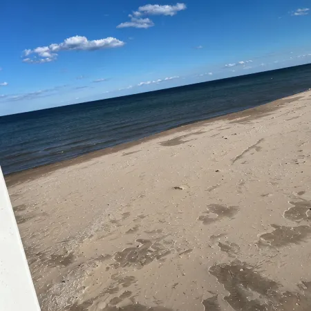 Public Beach, Coffee Bar, Popcorn Bar, Painting, Pet’s OK with Fee, Games, Bikes
