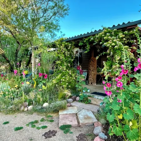 Artistic home and gardens  Just a stones throw to Roosevelt Lake.