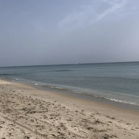 Spend Your Winter in Historical Lake Worth Beach