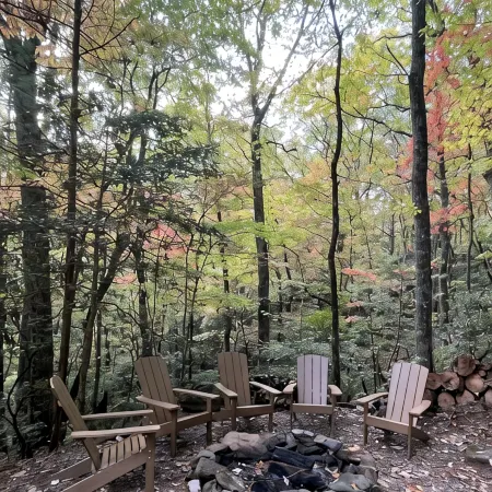 Log cabin, Blue Rdg. Mtn.,  A.T., Helton Crk falls, Vogel St. Park, near Helen
