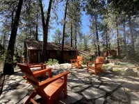 Wrightwood Cozy Cabin near Mt. High - 3-Star