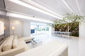 AMP FLAT Daimyo Terrace