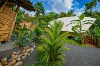 Qasa Boutique Hotel and Retreats - LGBTQ - 2-Star