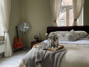 Exquisite 1Br Apt w Garden in Center