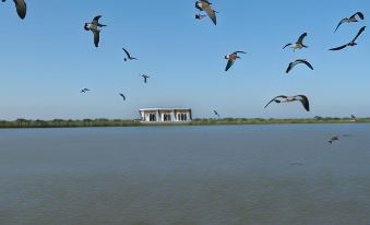 a flock of birds is flying over a body of water with a house in the background at Casa del Rio