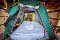 Skycamp Camping Holbox Hotels near Jungle Eco Tour ＂El Corchal＂