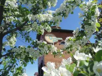 Solov'Inaya Roscha Hotel