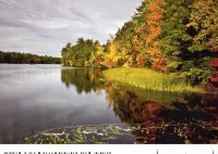 Private Lakefront Cottage  A Step Away from a Large Sandy Beach!