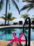 Coral Cove Inn - Pools