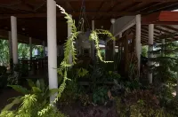 Sihilro Regency Hotels near Udawalawe National Park