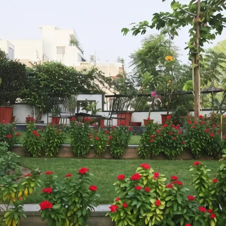 The Saneer Jaipur