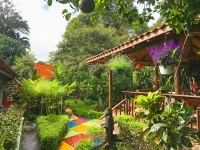 Brillasol Airport Hotel Hotels in 