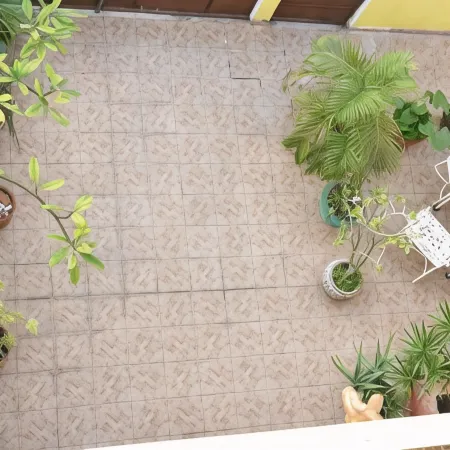 Cancun Guest House 6