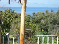 Sea View Studio with veranda Hotel a Provincia di Vibo Valentia