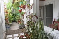 Posada Miss Mazie Hotel di 