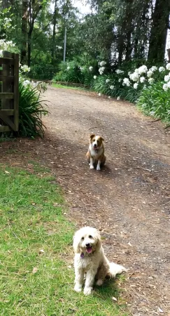 Cosy Elmview Cottage an idyllic couples escape