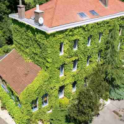 Logis Hôtel-Restaurant Le Moulin D'Artres Hotel Exterior