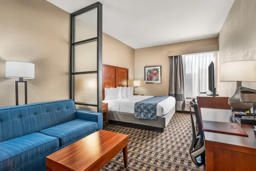 Best Western Plus Greenville I-385 Inn  Suites