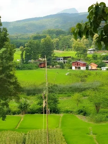 รูปภาพของเผยเสน่ห์ฝายแก้ง รีสอร์ท