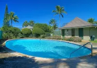 Mesmerizing Ocean View -Hawaiiana Style Walkout Unit - Whale and Bird Watching - 3-Star